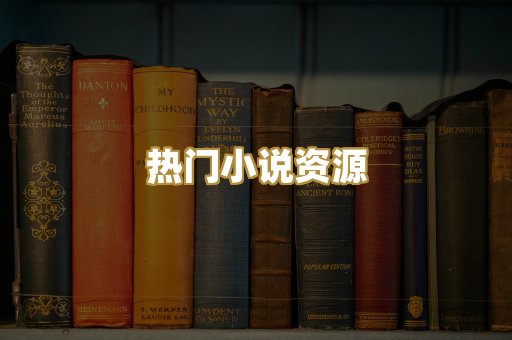 热门小说资源